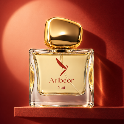 Nuit d’Aribéor