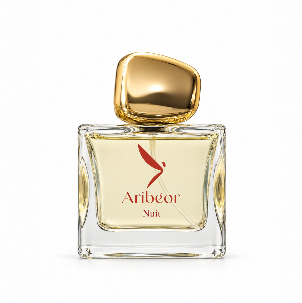 Nuit d’Aribéor